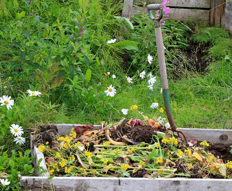 waste removal waste collection